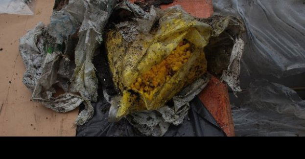 Policjanci zatrzymali podejrzanego o produkcje narkotyków w hali w Gdyni.