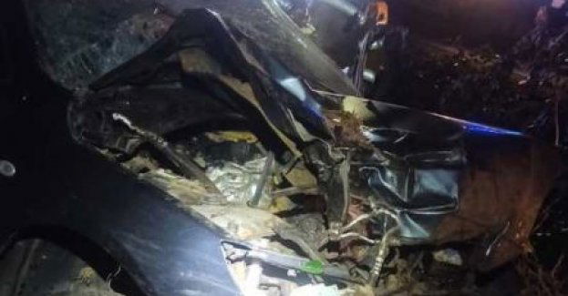 Pijany bez prawa jazdy uderzył w drzewo