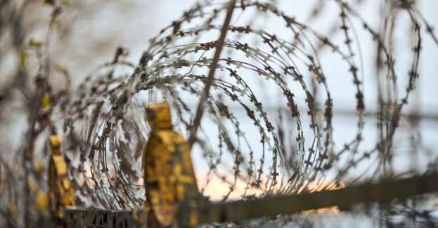 W trzy dni blisko 290 prób nielegalnego przekroczenia granicy z Białorusią