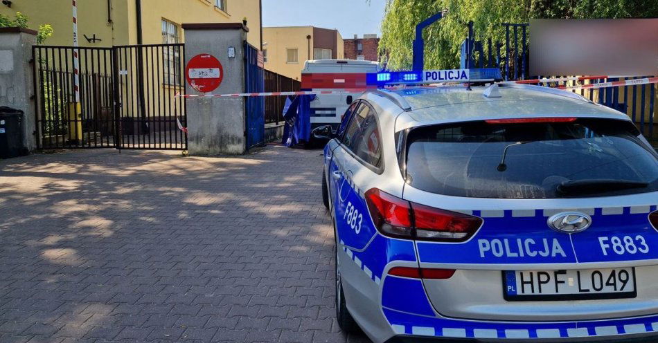 zdjęcie: Śmiertelne potrącenie pieszej / fot. KPP w Pabianicach