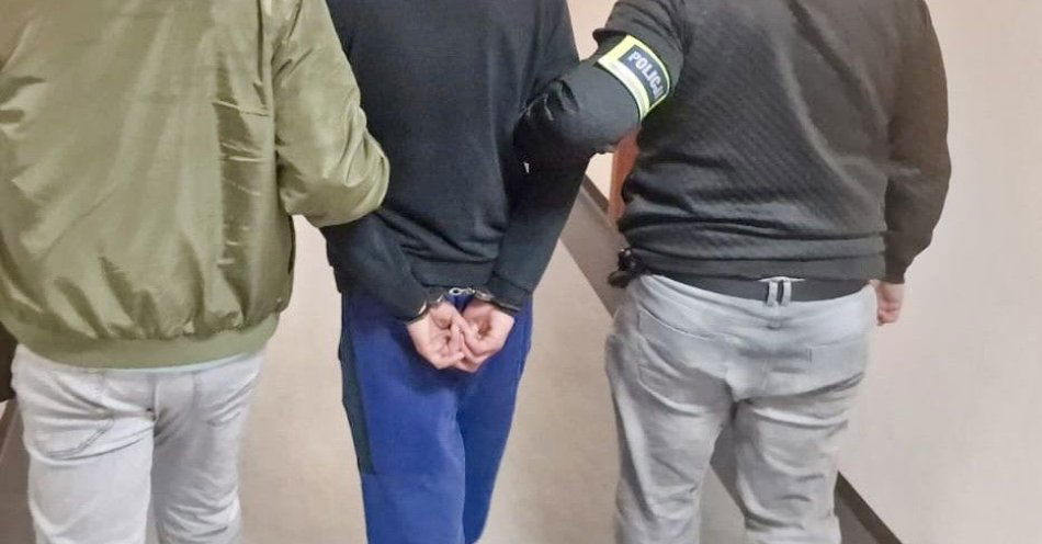 zdjęcie: Pięć osób zatrzymanych w jedną dobę przez policję w Koninie / fot. KMP w Koninie