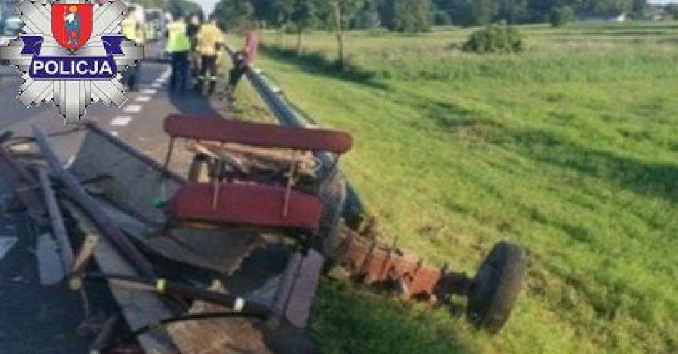 zdjęcie: Kolizja z zaprzęgiem konnym na krajowej siedemnastce / fot. KMP Zamość