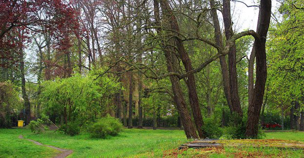 Będzie nowy park, a w nim plac zabaw i siłownia