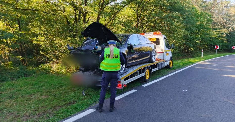 zdjęcie: Nietrzeźwy kierowca Audi z dwoma zakazami rozbił auto / fot. KPP Koło