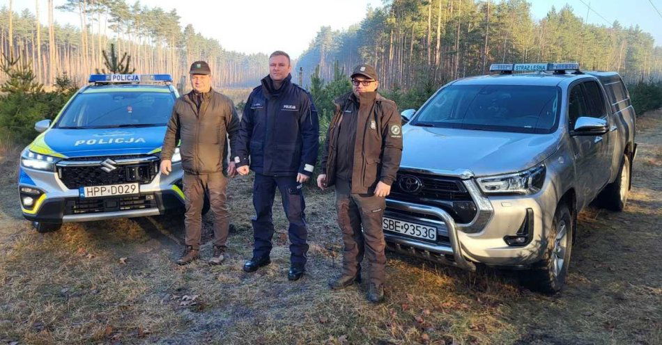 zdjęcie: Policja i Straż Leśna walczą z kradzieżami choinek / fot. KMP w Dąbrowie Górniczej