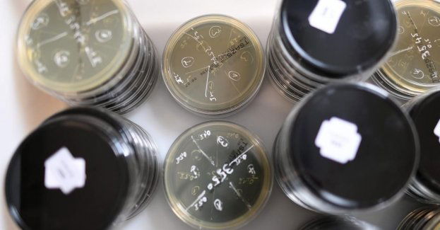 Pierwszy przypadek zakażenia legionellą w województwie