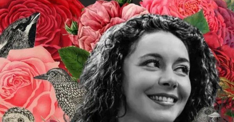 zdjęcie: Z miłością na Ty - recital Kamili Klimczak / kupbilecik24.pl / \