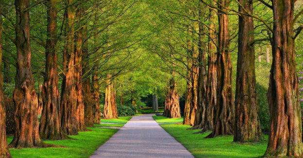 Park Nowaka-Jeziorańskiego czeka rewitalizacja