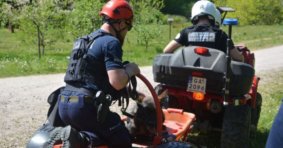 zdjęcie: Policjanci zorganizowali ćwiczenia w zakresie poszukiwania zaginionych osób / fot. KMP w Gdyni