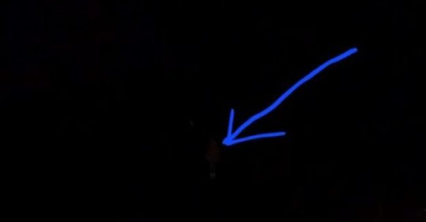 A Ty? Nosisz odblaski?