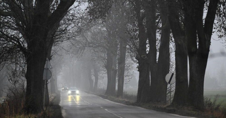 zdjęcie: GDDKiA: wszystkie drogi krajowe są przejezdne, mgła w 14 województwach; IMGW wydał ostrzeżenia / Nowy Dwór Gdański, 18.12.2025. Trasa S7 w Nowym Dworze Gdańskim na Żuławach spowita mgłą, 18 bm. (awol) Andrzej Jackowski