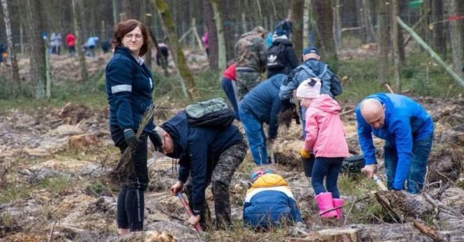 zdjęcie: Grudziądzanie posadzą las / fot. UM Grudziądz