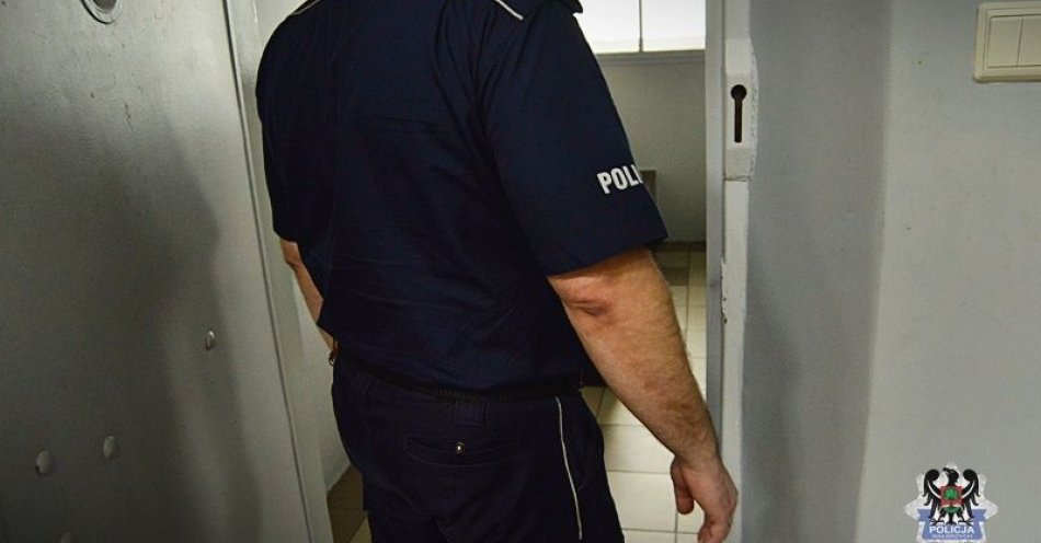 zdjęcie: 20-latek zatrzymany za serie kradzieży / fot. KMP w Wałbrzychu