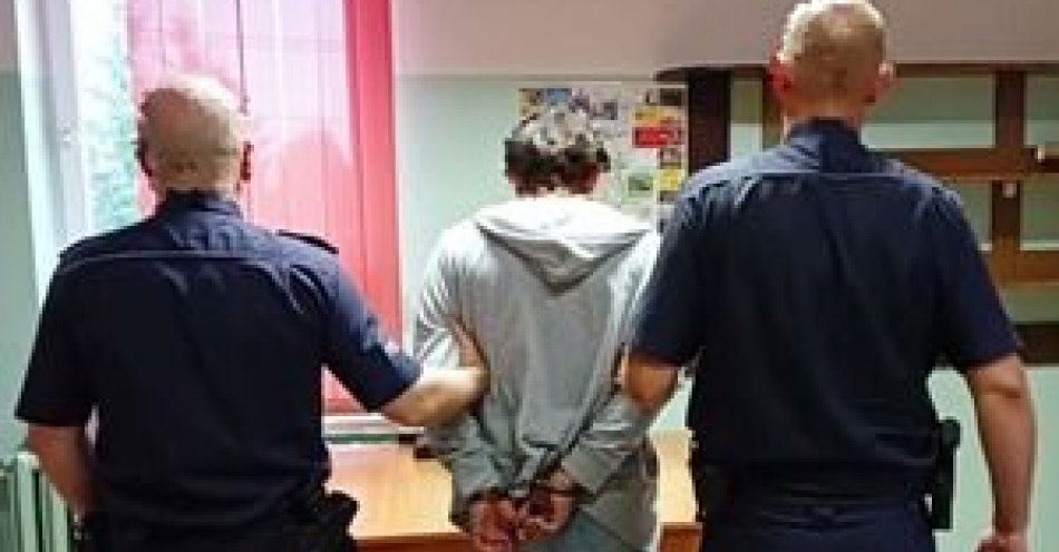 zdjęcie: Strzelał z wiatrówki do samochodów i sąsiadów - został zatrzymany przez policjantów z Myszyńca / fot. KMP w Ostrołęce
