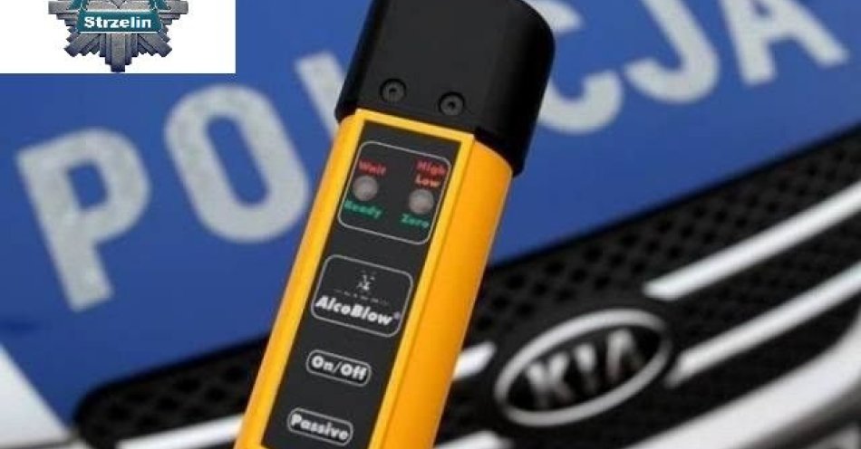 zdjęcie: Kobieta z prawie 2,7 promila wjechała do rowu w Strzelinie / fot. KPP w Strzelinie MAJĄC BLISKO 2,7 PROMILA SPOWODOWAŁA KOLIZJĘ