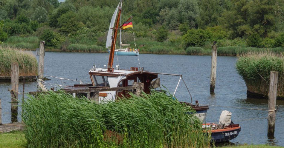 zdjęcie: Zasnął i wpłynął w trzciny. Sternik łodzi żaglowej miał prawie 2 promile / v14780859