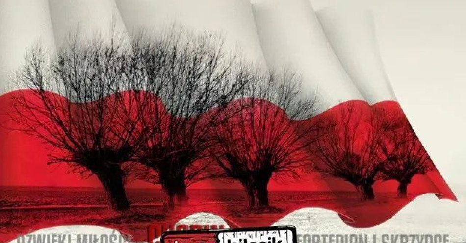 zdjęcie: Mateusz Dubiel, Piotr Bogusław Gładki, Iwona Strzelewicz-Ziemiańska / kupbilecik24.pl / Mateusz Dubiel, Piotr Bogusław Gładki, Iwona Strzelewicz-Ziemiańska