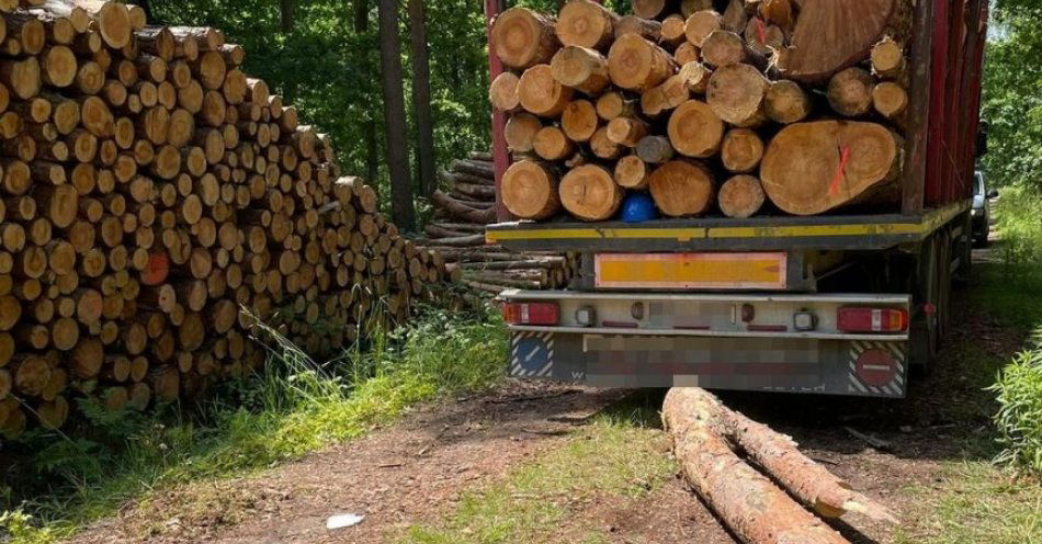 zdjęcie: Nieszczęśliwy wypadek przy załadunku drewna / fot. KPP Radzyń Podlaski