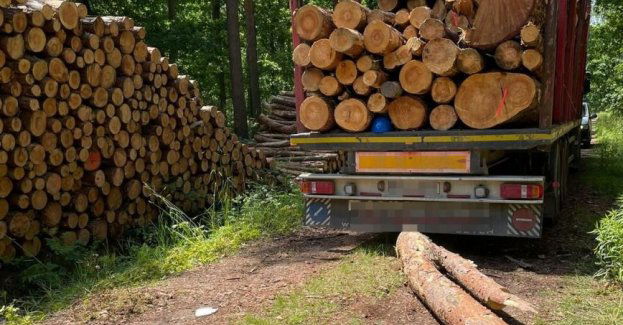 Nieszczęśliwy wypadek przy załadunku drewna