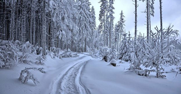 Trudne warunki na szlakach; w górach poprószył śnieg