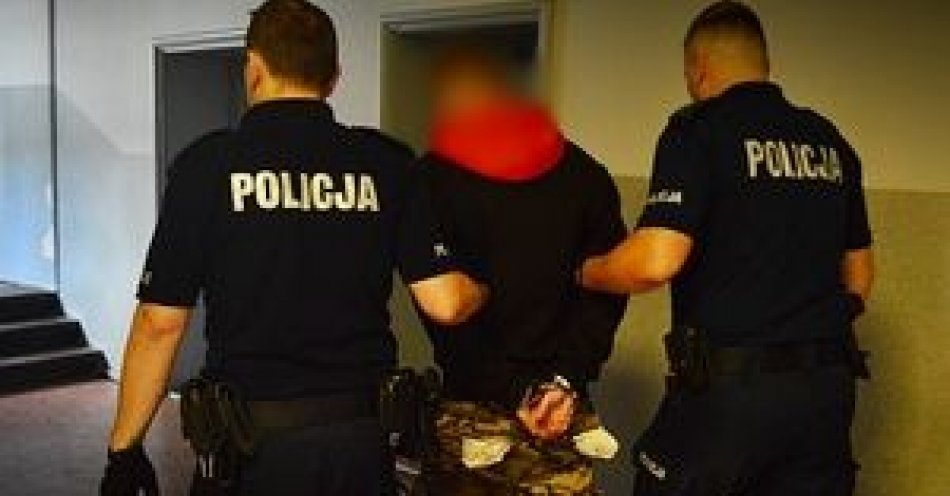 zdjęcie: Był ścigany na podstawie siedmiu listów gończych. Łącznie miał dziesięć podstaw poszukiwawczych. Teraz na pewno na blisko cztery lata trafi do zakładu / fot. KMP w Wałbrzychu