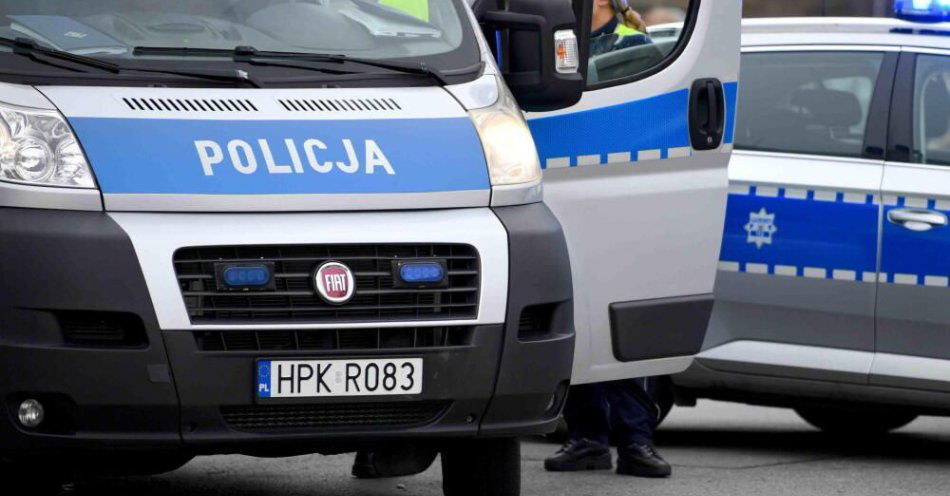 zdjęcie: Policja uruchomiła Child Alert, poszukiwana jest 11-letnia Patrycja Głowania / fot. PAP