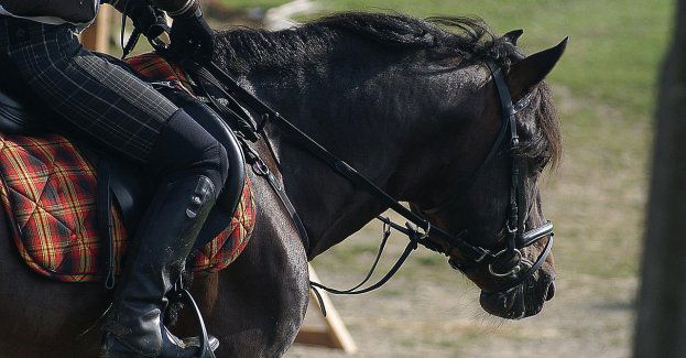 W najbliższy piątek rusza Strzegom Spring Open