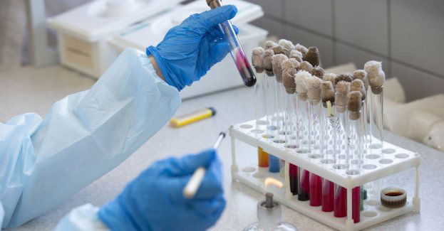 Pacjent z podejrzeniem błonicy ma objawy kliniczne tej choroby