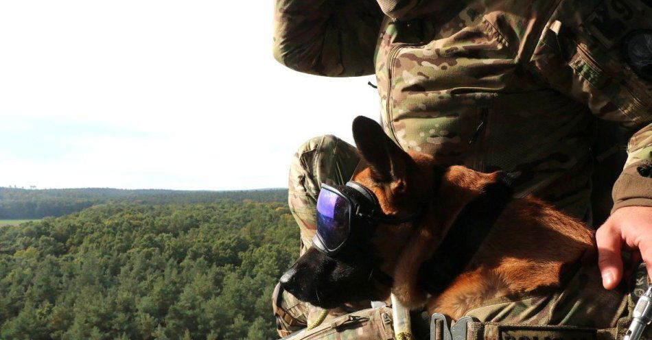 zdjęcie: Zostań policjantem sprawdź terminy i wymagania / fot. KPP w Zduńskiej Woli