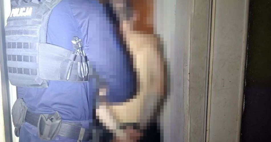 zdjęcie: Przemków: zatrzymano 30 letniego sprawcę kradzieży telefonu / fot. KPP w Polkowicach