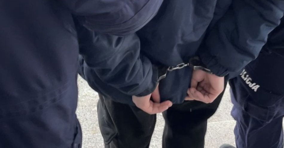 zdjęcie: Dokonał kradzieży torebki, następnego dnia został zatrzymany / fot. KPP Środa Wielkopolska