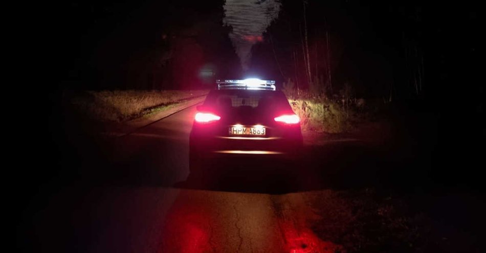 zdjęcie: Dostawczak uderzył w sarnę na drodze wojewódzkiej 645 / fot. KMP Łomża