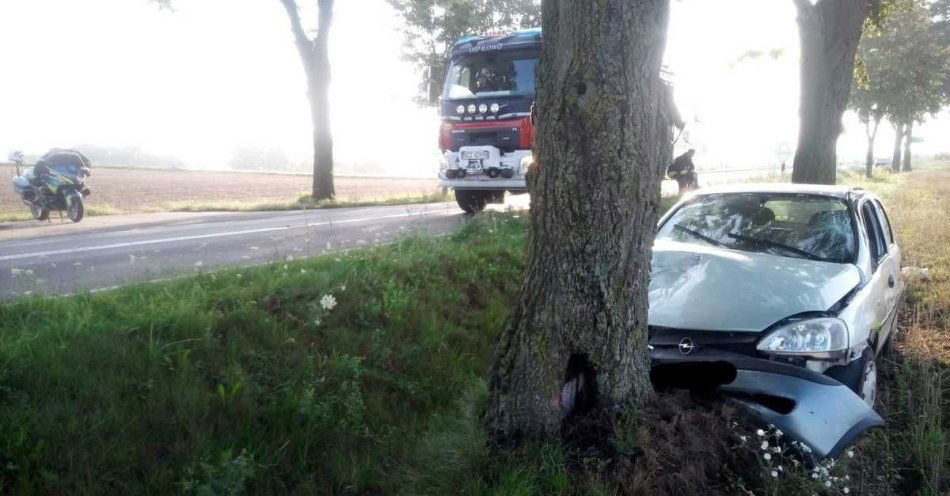 zdjęcie: Zdarzenia z udziałem kierujących pojazdami, którzy uderzyli w drzewo / fot. KPP w Działdowie