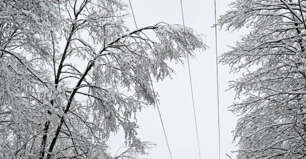 Ponad 20 tys. odbiorców bez prądu; ponad 70 interwencji straży pożarnej związanych z pogodą