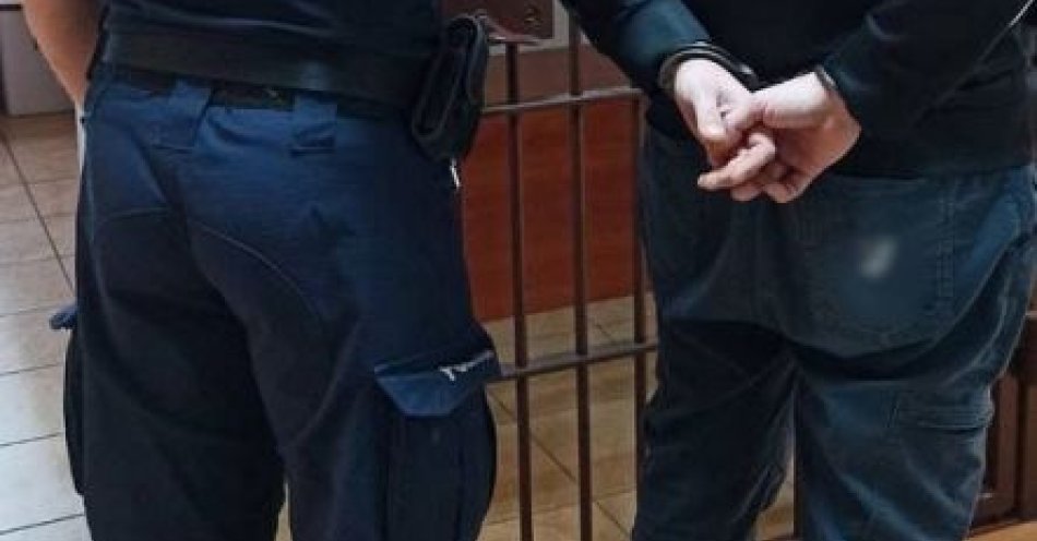zdjęcie: Tczew: policja zatrzymała 10 poszukiwanych / fot. KPP w Tczewie