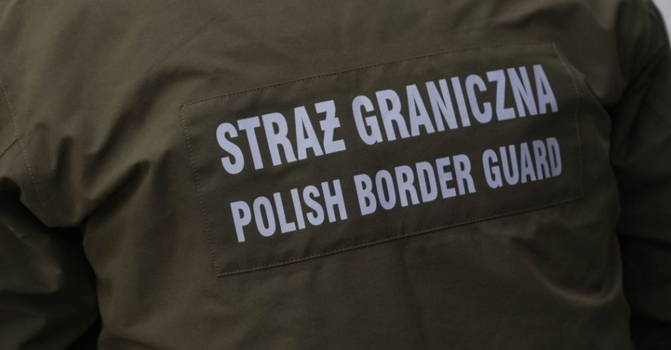 zdjęcie: Czterem cudzoziemcom - kierowcom przewozu osób - nakazano opuszczenie Polski / fot. PAP
