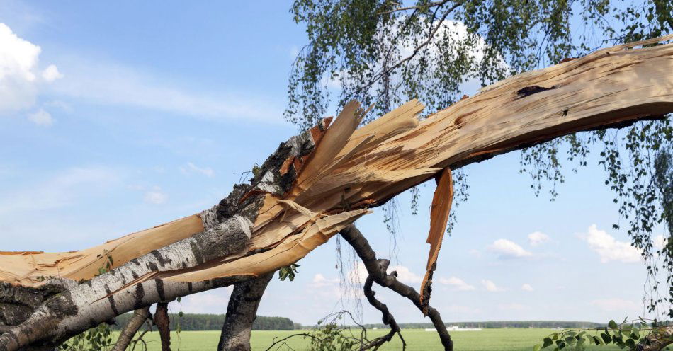zdjęcie: Kierowca rajdowy z Włoch zginął pod Pasymiem / v9455903