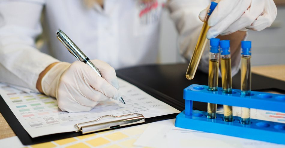 zdjęcie: Naukowcy Uniwersytetu Gdańskiego opracowali metodę diagnozowania wczesnych powikłań cukrzycy / v3280000