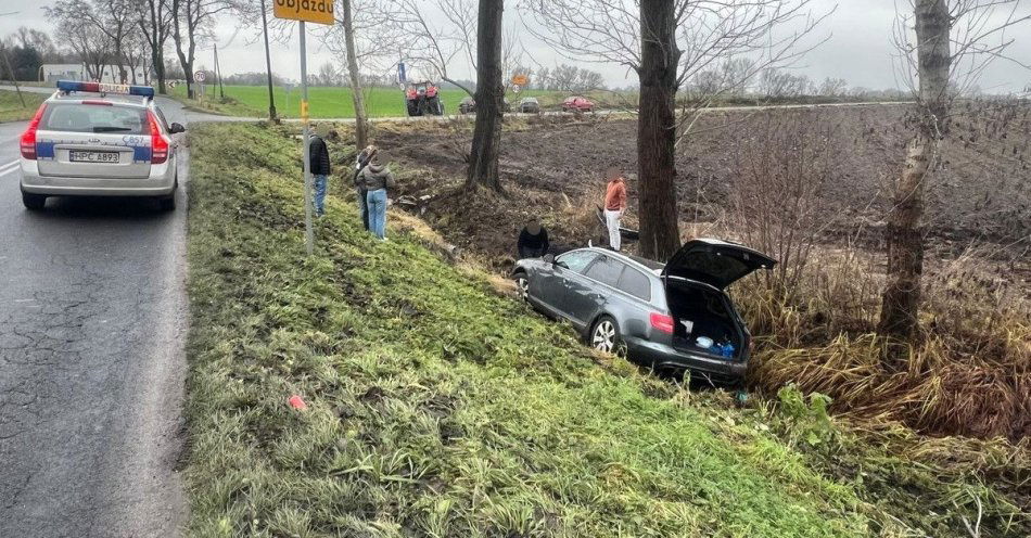 zdjęcie: Audi wpadło do rowu. 18 letni kierowca ukarany mandatem / fot. KPP Mogilno