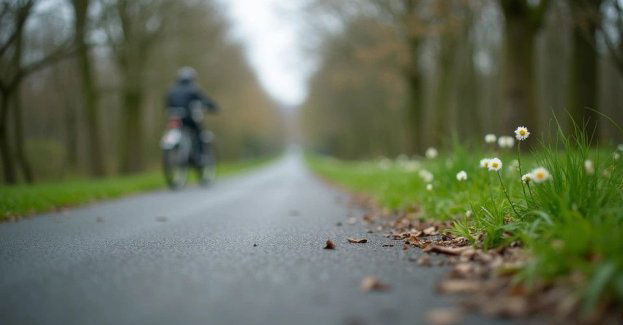 Nowa infrastruktura rowerowa w Warszawie. Miasto inwestuje 142 mln zł w rozwój tras dla cyklistów