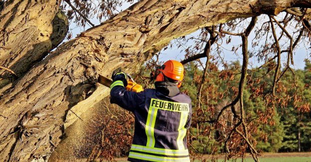 20 interwencji strażaków w związku z burzami nad regionem