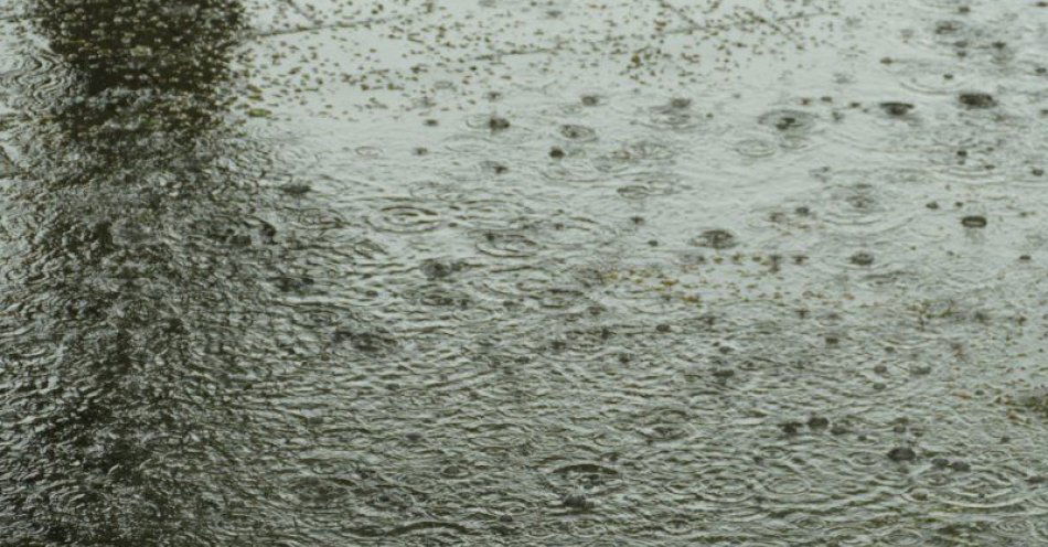 zdjęcie: Uwaga! Ostrzeżenie meteorologiczne / fot. UM Grudziądz