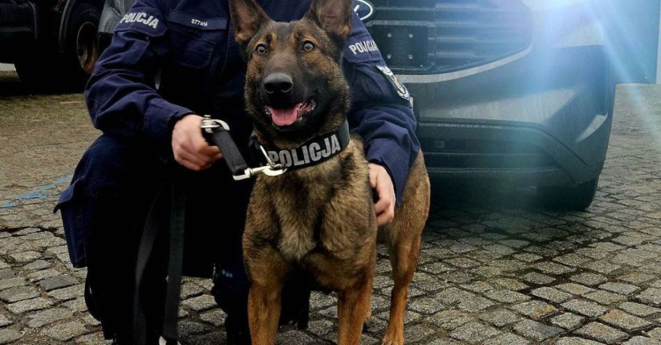 zdjęcie: Węze w służbie KMP Szczecin i nowy pojazd dla przewodników / fot. KMP w Szczecinie