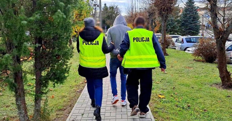 zdjęcie: Spowodował wypadek mając 3 promile alkoholu w organizmie / fot. KPP Kraśnik
