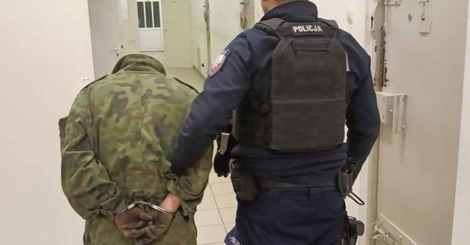 zdjęcie: Seryjny przestępca zatrzymany podczas kontroli w Przemkowie / fot. KPP w Polkowicach