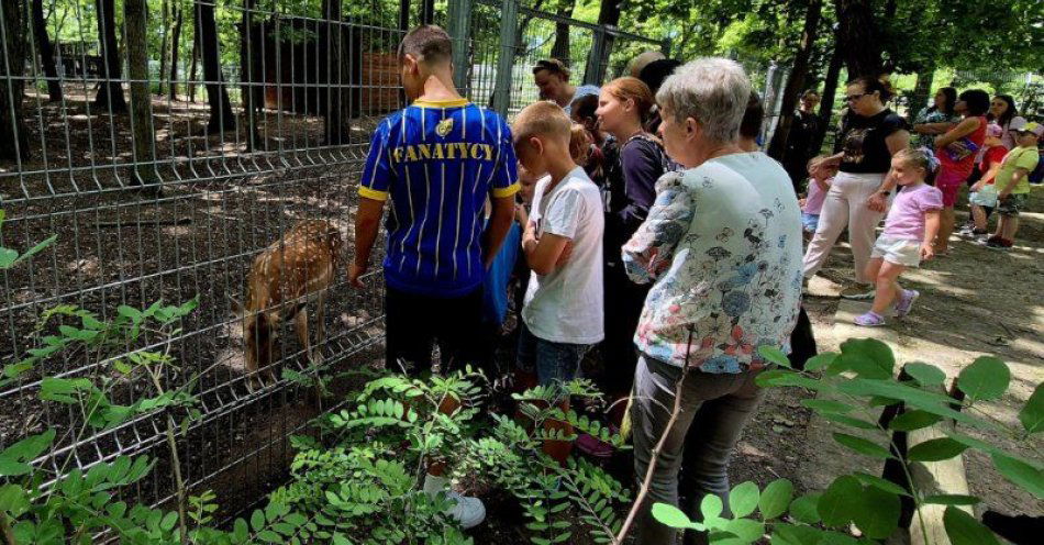 zdjęcie: Zdrowie dopisuje, gdy aktywności nie bagatelizuję - zakończenie projektu socjalnego MOPR podczas spotkania w CEE / fot. UM Grudziądz