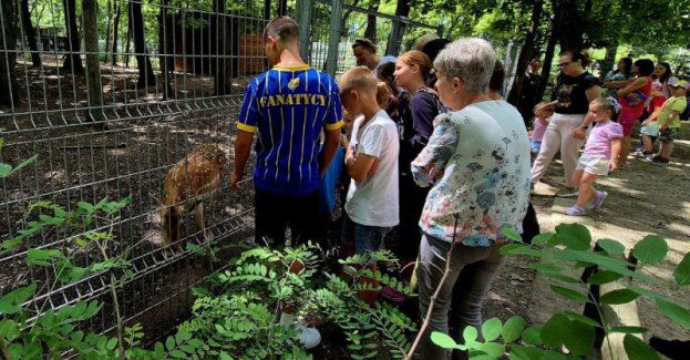Zdrowie dopisuje, gdy aktywności nie bagatelizuję - zakończenie projektu socjalnego MOPR podczas spotkania w CEE