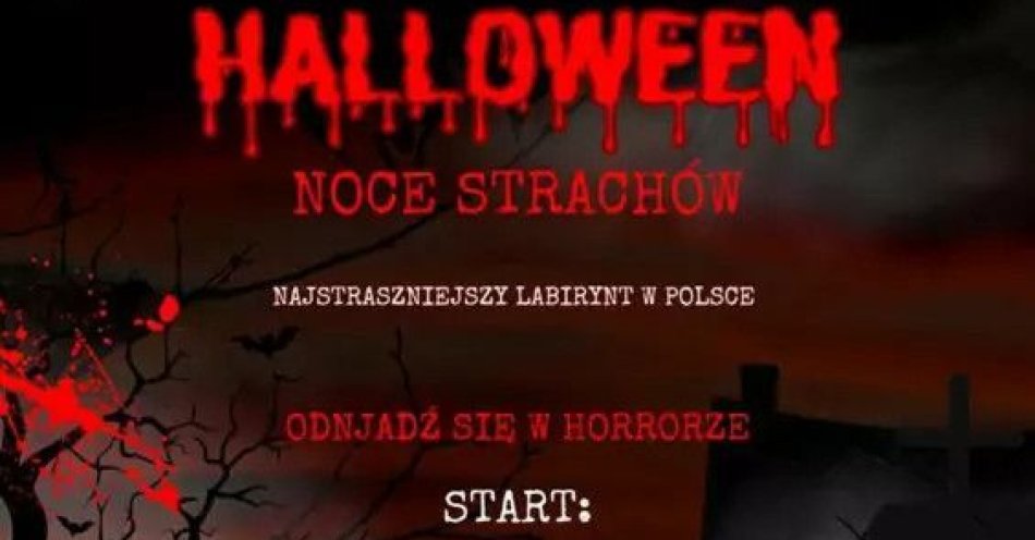 zdjęcie: Najstraszniejszy Labirynt w Polsce / kupbilecik24.pl / Najstraszniejszy Labirynt w Polsce