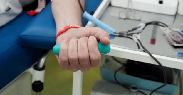 W Pile trwa próba pobicia rekordu Polski w ilości oddanej krwi