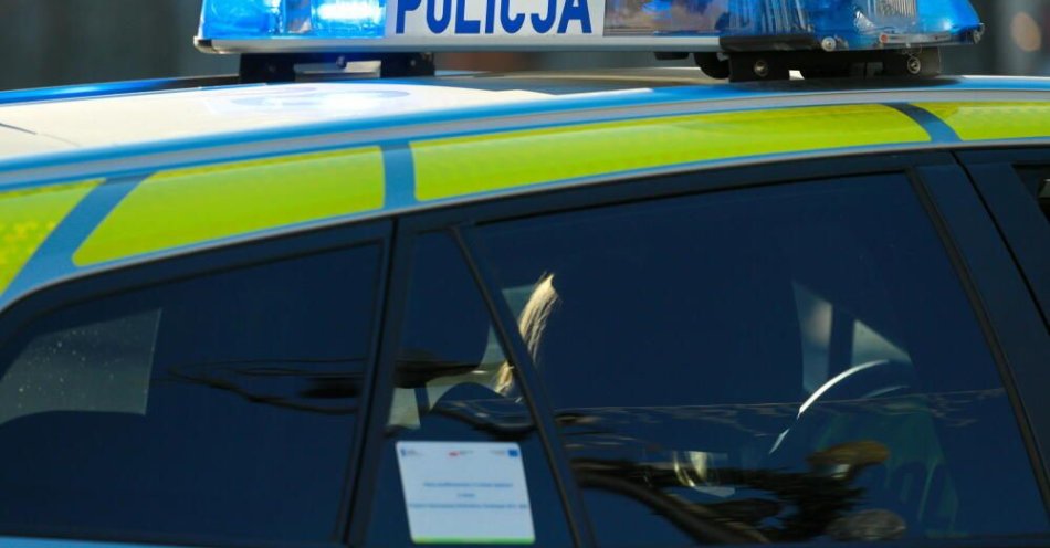 zdjęcie: Służby zatrzymały sprawcę usiłowania zabójstwa na Dniach Ursynowa / fot. PAP